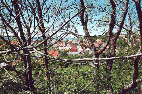 dorf_baeume.jpg (122748 Byte)